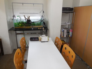 河内長野 相続 遺言